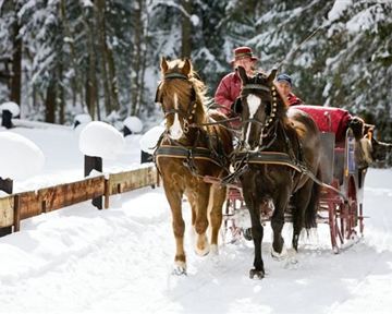 A horse-drawn sleigh ride in a snowy landscape. The trees are covered in snow and the scene radiates a wintry coziness.