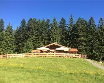 Ein rustikales Haus umgeben von dichten, grünen Wäldern. Auf der Terrasse stehen Sonnenschirme und Tische zum Entspannen.