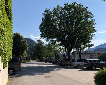 A quiet street with trees and parked cars. The sky is clear and blue, with mountains visible in the background.