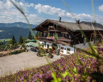 A beautiful house in the mountains, surrounded by green meadows and blooming plants. In the background, the mountains and a clear sky can be seen.