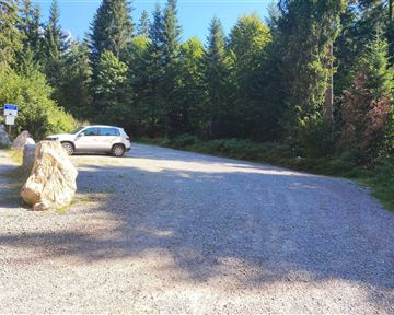 Ein Kiesparkplatz umgeben von hohen Bäumen. Ein weißes Auto steht am Rand des Parkplatzes.
