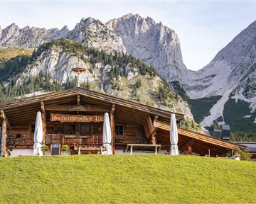 A mountain-style house with a wooden facade and a large balcony. In the background, majestic mountains and a green meadow can be seen.