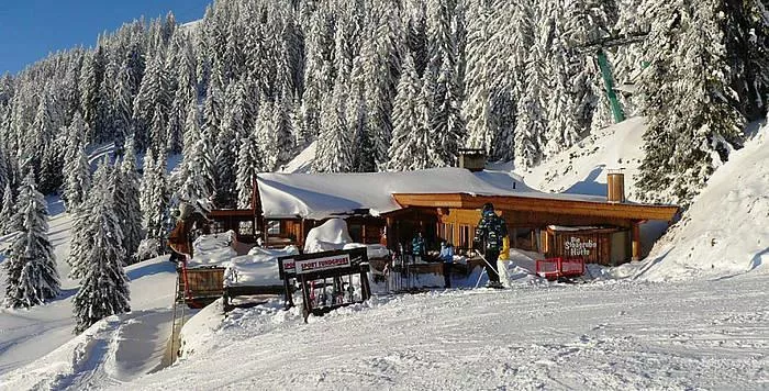 Stoagrub'n Hütte