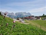 Eine malerische Berglandschaft mit grünen Wiesen und blühenden Blumen. Im Hintergrund sind beeindruckende Berge und einzelne Gebäude zu sehen.