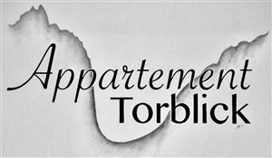 An elegant sign with the inscription "Apartment Torblick". The lettering is creatively designed and looks appealing.