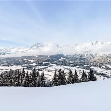 A winter landscape with snow-covered trees and mountains. The sky is clear and the mountains are partly shrouded in clouds.