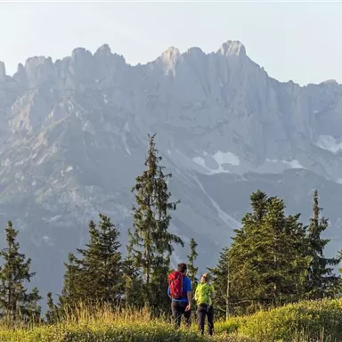 Two hikers stand on a meadow and look at impressive mountains in the background. The surroundings are green and sunny, ideal for a hike in nature.