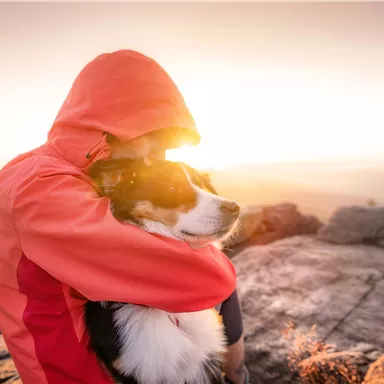 Ein Mensch umarmt einen Hund auf einem Felsen bei Sonnenuntergang. Die warme Lichtstimmung schafft eine friedliche Atmosphäre.