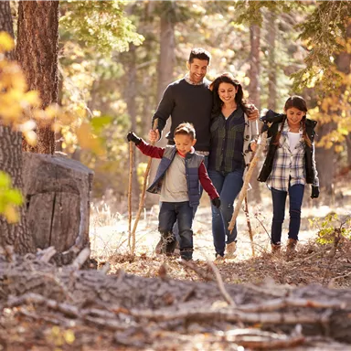 Eine Familie wandert fröhlich durch einen herbstlichen Wald. Die Kinder halten Wanderstöcke und genießen die Zeit in der Natur.