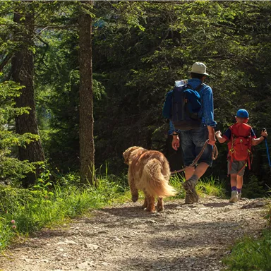 Ein Mann und ein Kind gehen mit einem Hund auf einem Waldweg. Umgeben von Bäumen und grüner Natur genießen sie einen schönen Tag im Freien.