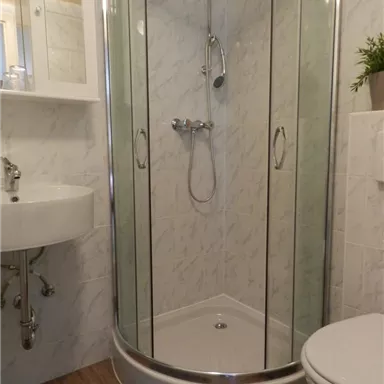 Ein modernes Badezimmer mit einer Duschkabine und einem Waschbecken. Die Wände sind mit hellen Fliesen und eine kleine Pflanze sorgt für einen frischen Akzent.