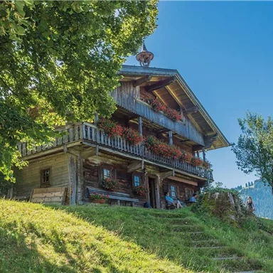 A charming wooden house with a balcony and blooming plants. It is idyllically situated, surrounded by green meadows and mountains.