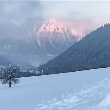 Eine verschneite Landschaft mit einem hüllenden Gebirge im Hintergrund. Sanfte Hügel und ein einzelner Baum sind im Vordergrund sichtbar.