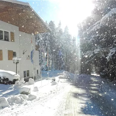 Eine schneebedeckte Landschaft mit einem weißen Gebäude und Bäumen im Hintergrund. Die Sonne strahlt durch den Schnee und schafft eine glitzernde Atmosphäre.