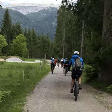 Eine Gruppe von Radfahrern fährt auf einem schmalen Weg durch einen bewaldeten Bereich. Im Hintergrund sind hohe Berge zu sehen.