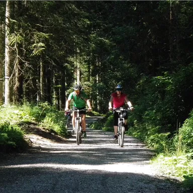 Zwei Radfahrer fahren auf einem Schotterweg durch einen Wald. Die Sonne scheint und die Umgebung ist grün und idyllisch.