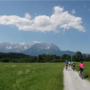 Eine Gruppe von Radfahrern fährt auf einem Schotterweg durch eine grüne Landschaft. Im Hintergrund sind majestätische Berge und ein klarer Himmel zu sehen.