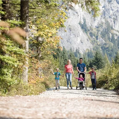 Eine Familie spaziert auf einem malerischen Weg umgeben von Bäumen und Bergen. Die Kinder laufen fröhlich neben den Erwachsenen, während ein Buggy geschoben wird.