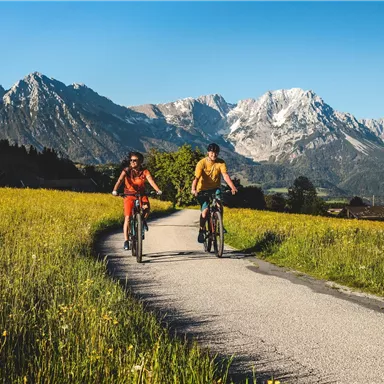 A free bike path through a green meadow with flowers. In the background, majestic mountains and a clear blue sky can be seen.