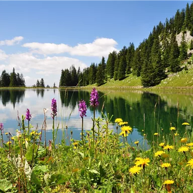 Ein klarer See umgeben von grünen Bäumen und bunten Blumen im Vordergrund. Der Himmel ist blau mit einigen weißen Wolken.
