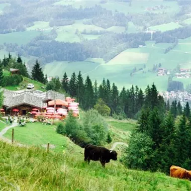 Eine malerische Landschaft mit sanften Hügeln und dichten Wäldern. Im Vordergrund grasen Kühe und im Hintergrund sieht man eine gemütliche Hütte.
