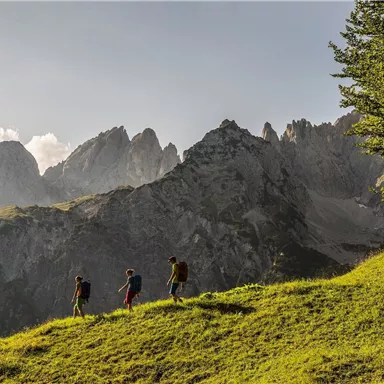 Three hikers are walking across a green meadow in the mountains. In the background, impressive rocks and a clear sky are visible.