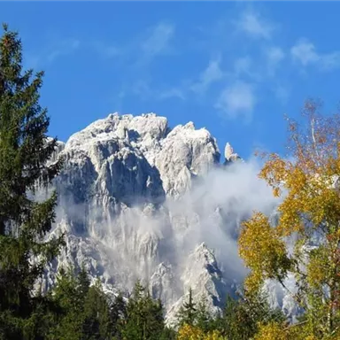 Ein majestätischer Berg mit schneebedecktem Gipfel und strahlend blauem Himmel. Im Vordergrund sind hohe Bäume und bunte Herbstblätter zu sehen.
