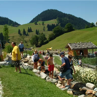 Eine Gruppe von Menschen genießt einen sonnigen Tag an einem klaren Wasserlauf. Die grüne Landschaft und Hügel im Hintergrund schaffen eine idyllische Atmosphäre.