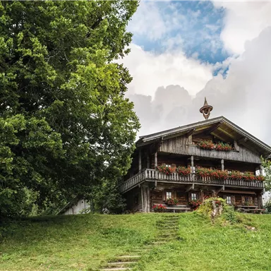 Ein traditionelles Holzhäuschen auf einer grünen Wiese, umgeben von Bäumen. Der Himmel ist bewölkt, was einen ruhigen und ländlichen Eindruck vermittelt.