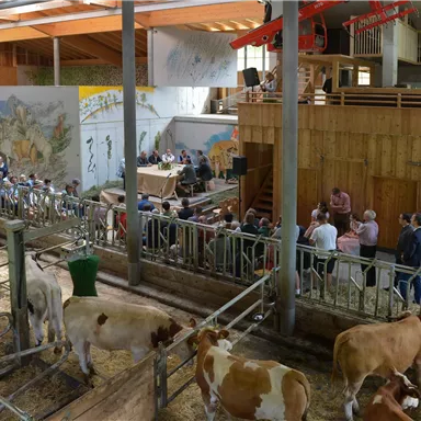 Eine landwirtschaftliche Umgebung mit Kühen und Menschen, die sich versammeln. Im Hintergrund sind Holzstrukturen und Wandmalereien zu sehen.