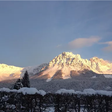 Schöne schneebedeckte Berge unter einem klaren Himmel. Die Sonne beleuchtet die Spitzen der Berge in sanften Farben.