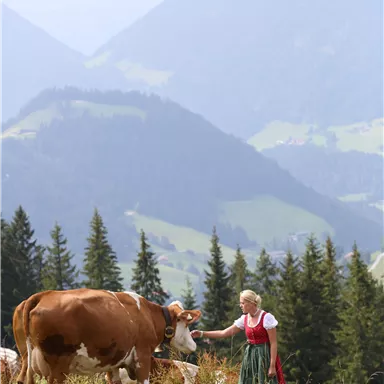 A woman in traditional costume is standing in a meadow and petting a cow. In the background, mountains and forests can be seen.