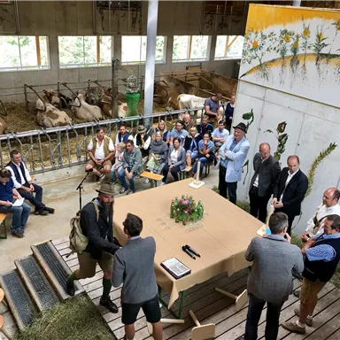 Eine Gruppe von Menschen sitzt um einen Tisch in einem Stall. Im Hintergrund sind Kühe zu sehen und ein dekoriertes Wandgemälde.