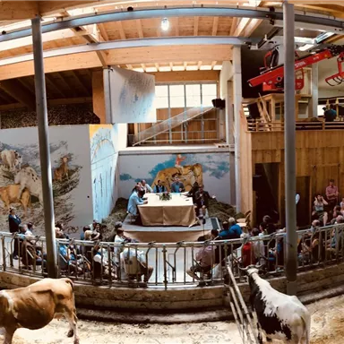 Eine lebhafte Bauernhofszene mit Kühen und Besuchern. Im Hintergrund ist ein Wandgemälde zu sehen, das das Ambiente der Scheune ergänzt.