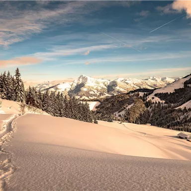 A snow-covered landscape with gentle hills and deep green trees. The sky is clear and the mountains are visible in the distance.