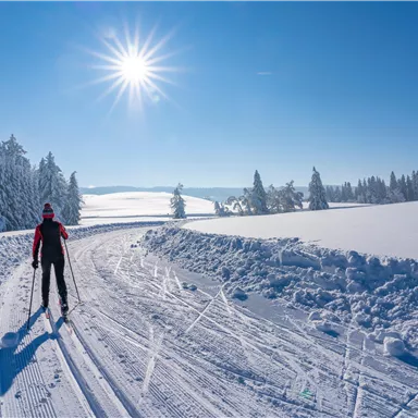 A person skiing cross-country in the snow stands on a groomed trail. The sky is clear and the sun is shining brightly over a winter landscape.