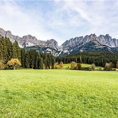 Eine grüne Wiese mit hohen Bergen im Hintergrund. Bäume in verschiedenen Farben umgeben die Landschaft.