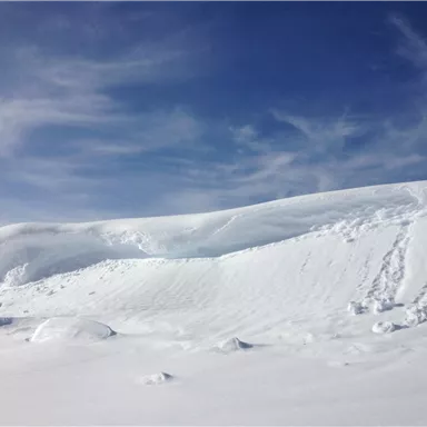 Eine verschneite Landschaft mit sanften Hügeln und einem klaren blauen Himmel. Der Schnee glänzt im Sonnenlicht und schafft eine ruhige Atmosphäre.