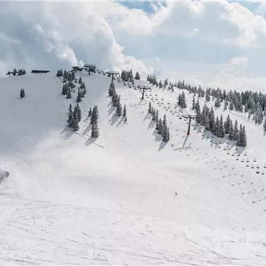 A snow-covered slope with some ski lifts and trees. The sky is partially cloudy, creating a wintry atmosphere.