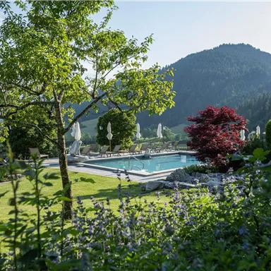 A beautiful pool in a picturesque landscape with trees and mountains in the background. The garden area is green and inviting.