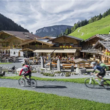 Zwei Radfahrer fahren vorbei an einer gemütlichen Berghütte in einer grünen Landschaft. Im Hintergrund sind Berge und blauer Himmel zu sehen.
