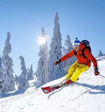 A skier in bright orange clothing is skiing through fresh, deep snow. In the background, snow-covered trees stand under a clear blue sky.