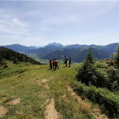 A group of hikers stands on a green hill overlooking the mountains. The sky is blue and the landscape is lush and beautiful.