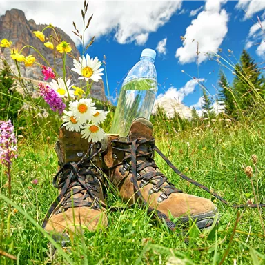 Wanderschuhe stehen auf grünem Gras, umgeben von bunten Blumen. In einem Schuh steht eine Flasche Wasser, und der Himmel ist blau mit weißen Wolken.