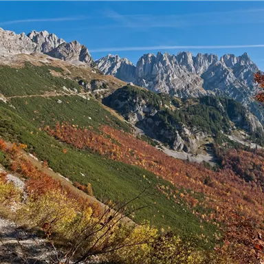 Eine herbstliche Berglandschaft mit buntem Laub und steilen Felsen. Der klare blaue Himmel ergänzt die beeindruckende Aussicht.