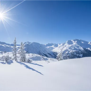 Eine verschneite Landschaft mit hohen Bergen und strahlend blauem Himmel. Die Sonne scheint hell über die sanften, weißen Hügel.