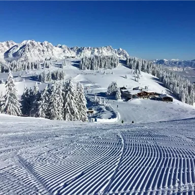 Eine schneebedeckte Landschaft mit Bergen und Tannenbäumen. Der strahlend blaue Himmel ergänzt die winterliche Szenerie.