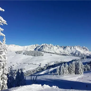 Ein winterliches Bergpanorama mit schneebedeckten Bäumen und klar blauem Himmel. Die verschneiten Hügel laden zum Skifahren ein.