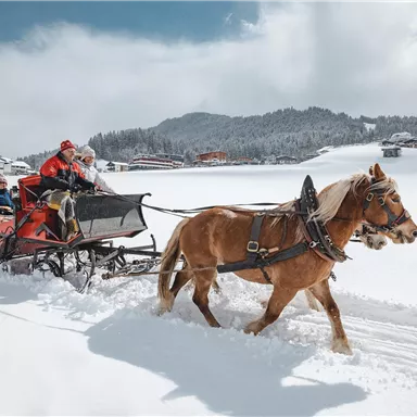 A horse pulls a snowy carriage through a wintry landscape. In the background, snow-covered hills and some houses can be seen.