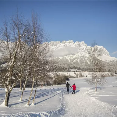 Ein winterlicher Landschaftsweg mit Schnee. Zwei Personen gehen Hand in Hand, umgeben von Bäumen und Bergen im Hintergrund.